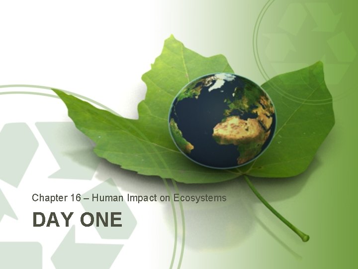 Chapter 16 – Human Impact on Ecosystems DAY ONE 