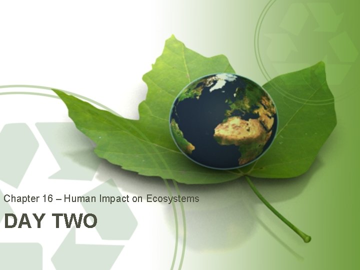 Chapter 16 – Human Impact on Ecosystems DAY TWO 