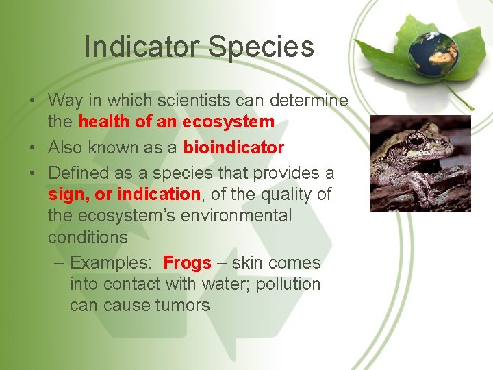 Indicator Species • Way in which scientists can determine the health of an ecosystem