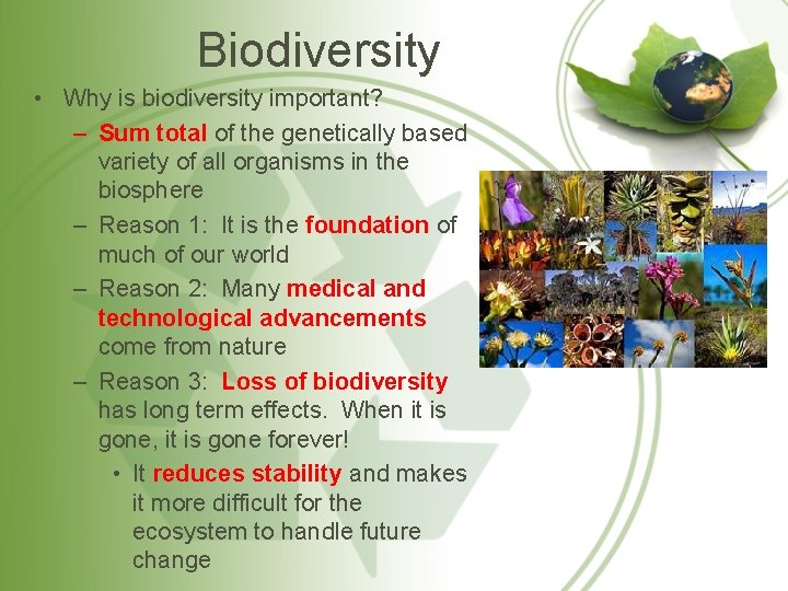 Biodiversity • Why is biodiversity important? – Sum total of the genetically based variety