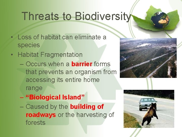 Threats to Biodiversity • Loss of habitat can eliminate a species • Habitat Fragmentation