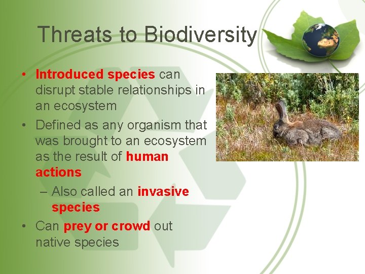 Threats to Biodiversity • Introduced species can disrupt stable relationships in an ecosystem •