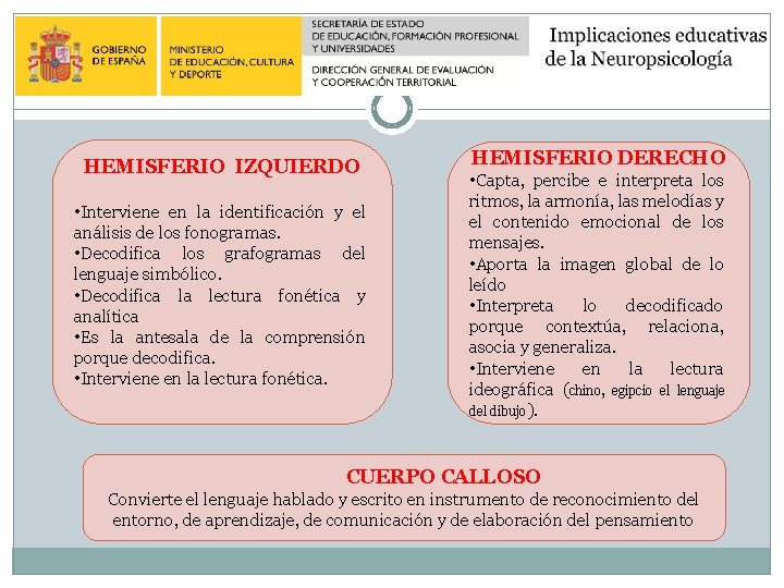 HEMISFERIO IZQUIERDO • Interviene en la identificación y el análisis de los fonogramas. • HEMISFERIO IZQUIERDO • Interviene en la identificación y el análisis de los fonogramas. •