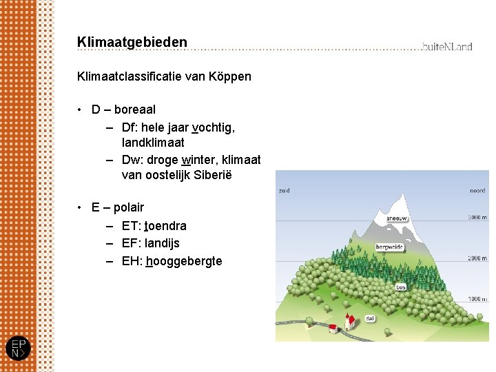 Klimaatgebieden Klimaatclassificatie van Köppen • D – boreaal – Df: hele jaar vochtig, landklimaat