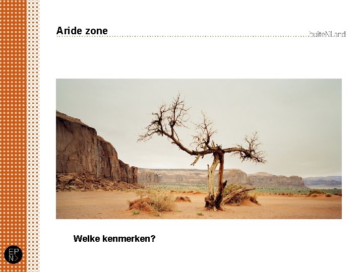 Aride zone Welke kenmerken? 