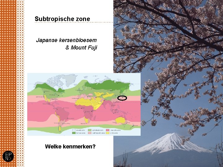 Subtropische zone Japanse kersenbloesem & Mount Fuji Welke kenmerken? 