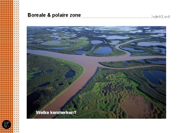 Boreale & polaire zone Welke kenmerken? 