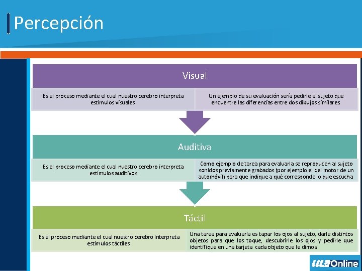 Percepción Visual Es el proceso mediante el cual nuestro cerebro interpreta estímulos visuales. Un