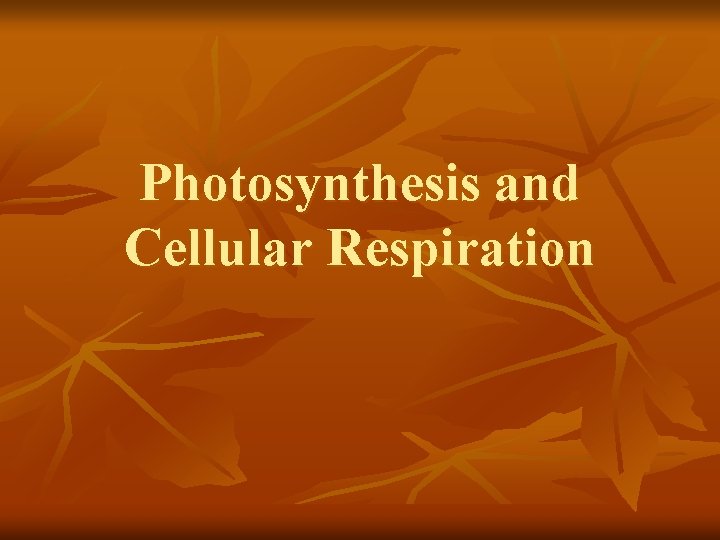 Photosynthesis and Cellular Respiration 