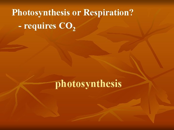 Photosynthesis or Respiration? - requires CO 2 photosynthesis 