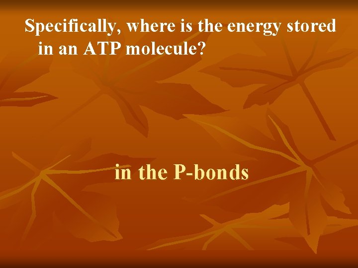 Specifically, where is the energy stored in an ATP molecule? in the P-bonds 