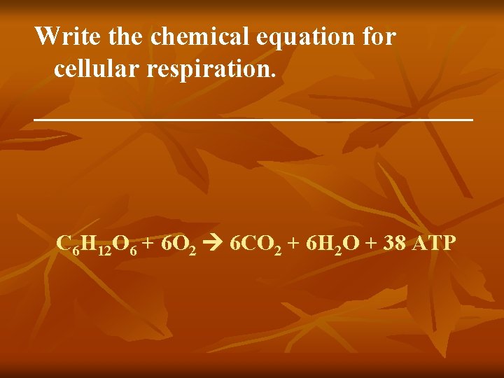 Write the chemical equation for cellular respiration. _________________ C 6 H 12 O 6