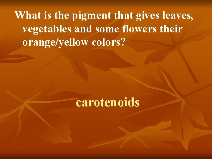 What is the pigment that gives leaves, vegetables and some flowers their orange/yellow colors?