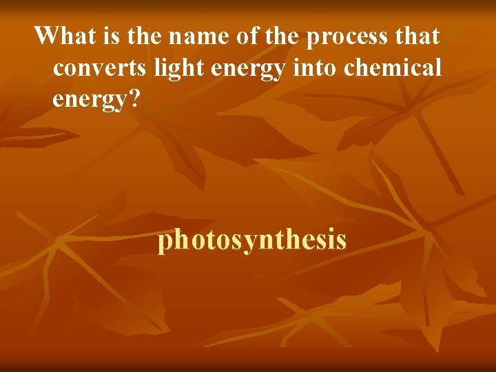What is the name of the process that converts light energy into chemical energy?