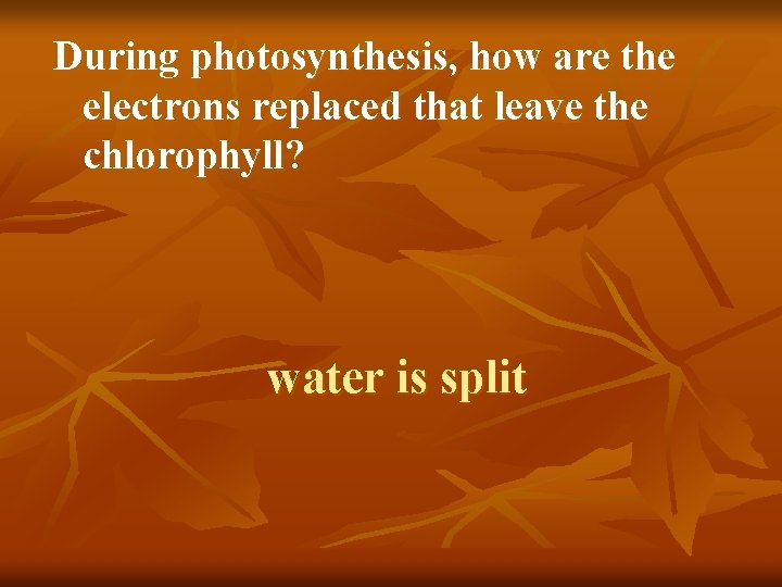 During photosynthesis, how are the electrons replaced that leave the chlorophyll? water is split