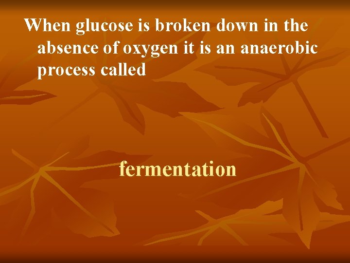 When glucose is broken down in the absence of oxygen it is an anaerobic