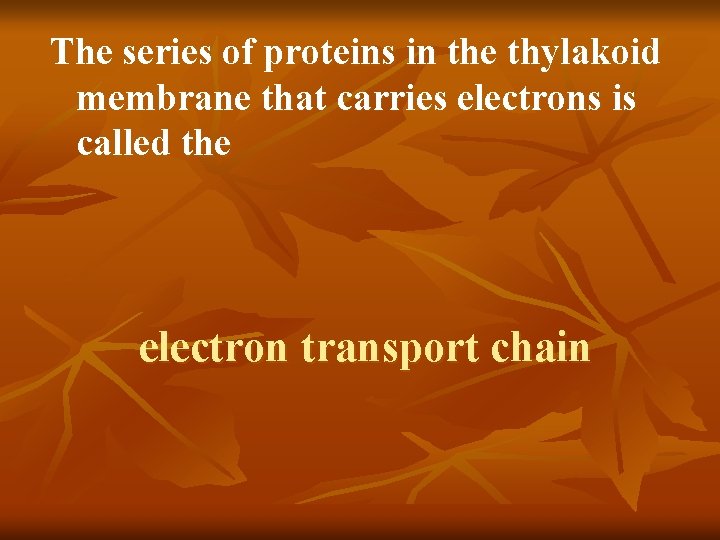The series of proteins in the thylakoid membrane that carries electrons is called the