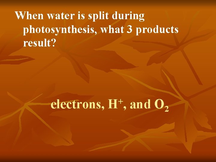 When water is split during photosynthesis, what 3 products result? electrons, + H, and