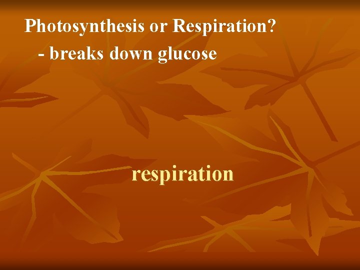 Photosynthesis or Respiration? - breaks down glucose respiration 