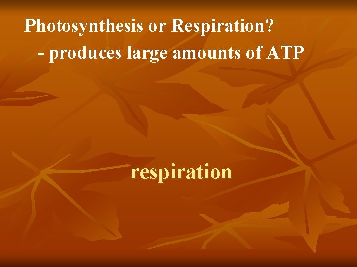 Photosynthesis or Respiration? - produces large amounts of ATP respiration 