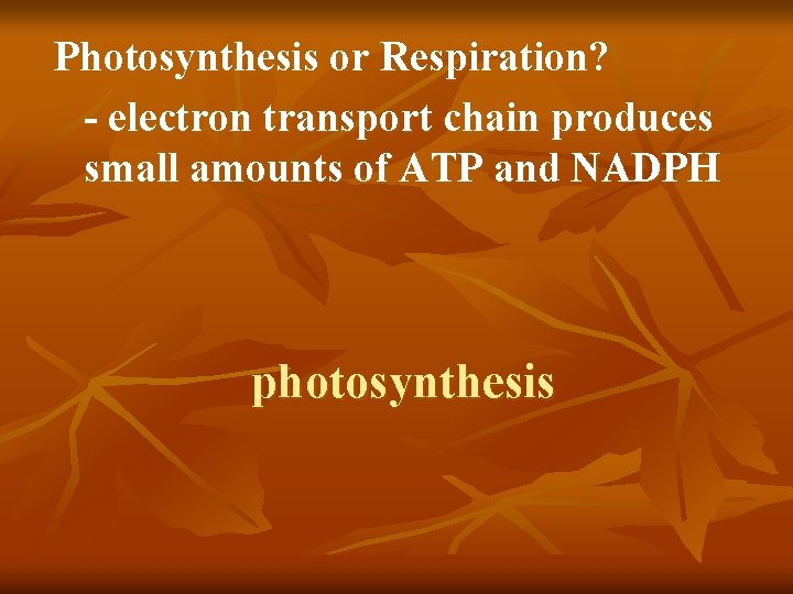 Photosynthesis or Respiration? - electron transport chain produces small amounts of ATP and NADPH
