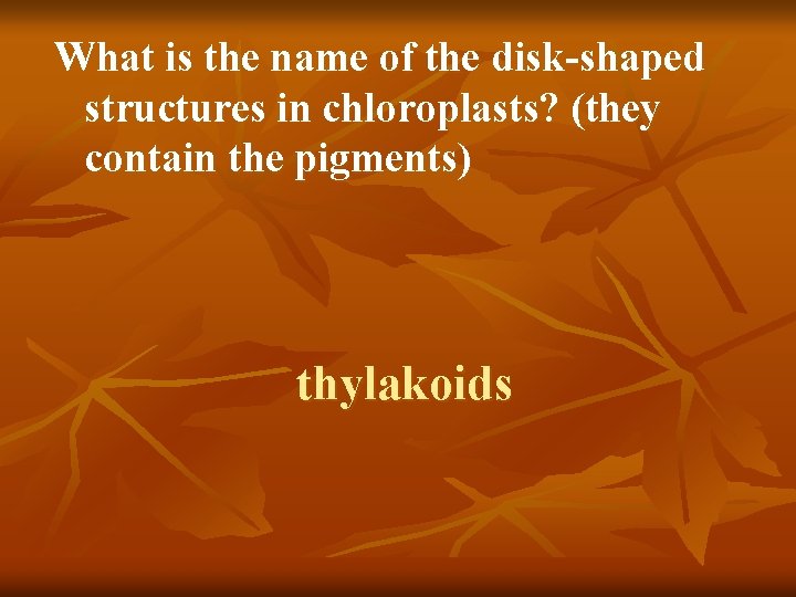 What is the name of the disk-shaped structures in chloroplasts? (they contain the pigments)