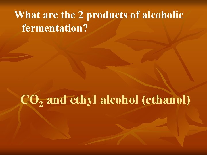 What are the 2 products of alcoholic fermentation? CO 2 and ethyl alcohol (ethanol)