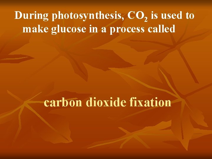 During photosynthesis, CO 2 is used to make glucose in a process called carbon