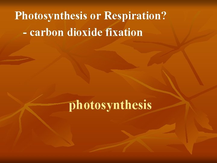 Photosynthesis or Respiration? - carbon dioxide fixation photosynthesis 