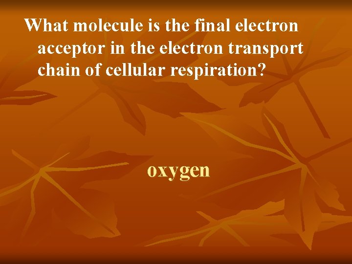 What molecule is the final electron acceptor in the electron transport chain of cellular