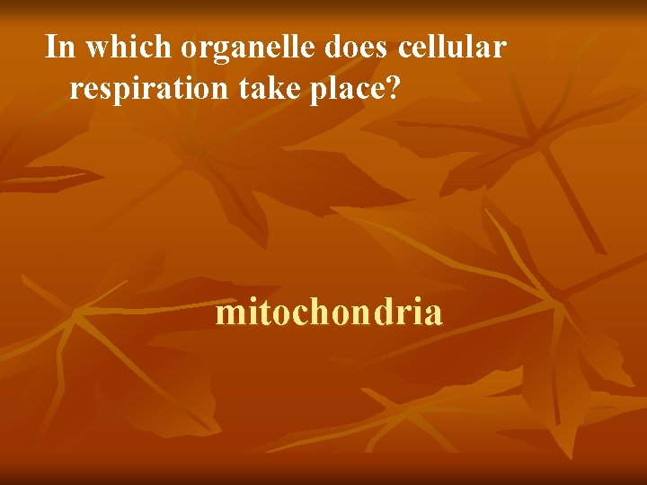In which organelle does cellular respiration take place? mitochondria 