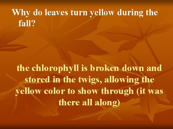 Why do leaves turn yellow during the fall? the chlorophyll is broken down and