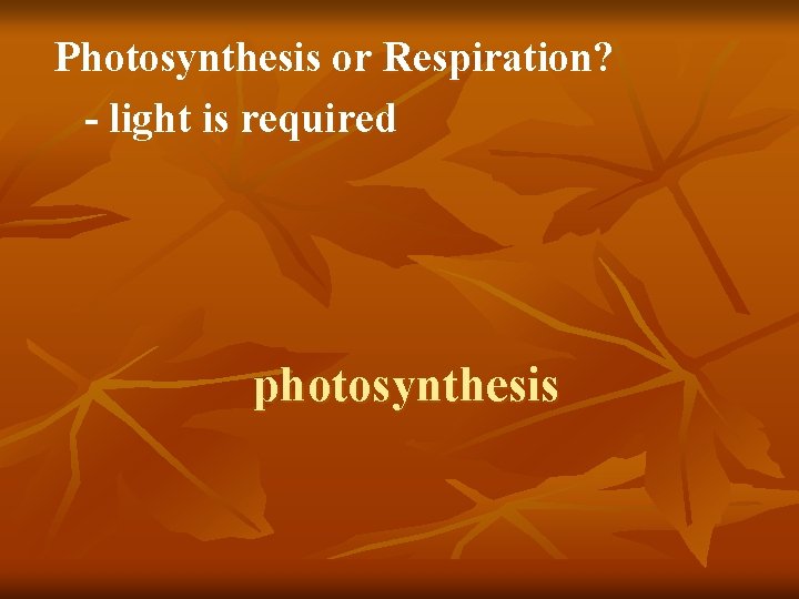 Photosynthesis or Respiration? - light is required photosynthesis 