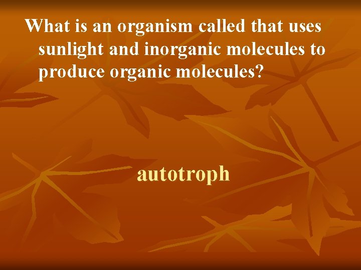 What is an organism called that uses sunlight and inorganic molecules to produce organic