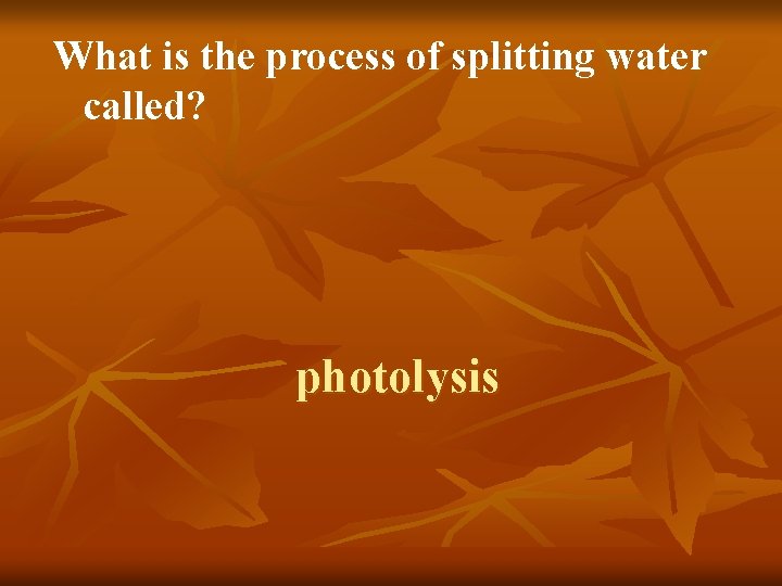 What is the process of splitting water called? photolysis 