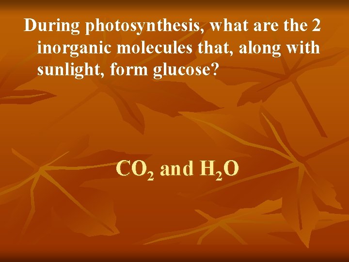 During photosynthesis, what are the 2 inorganic molecules that, along with sunlight, form glucose?