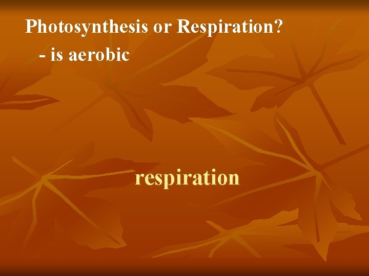 Photosynthesis or Respiration? - is aerobic respiration 