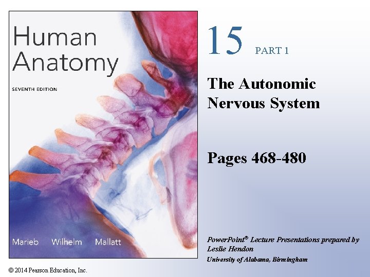 15 PART 1 The Autonomic Nervous System Pages 468 -480 Power. Point® Lecture Presentations
