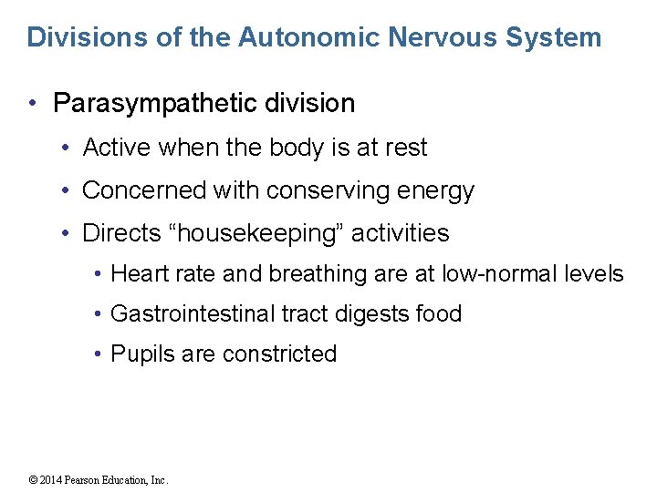 Divisions of the Autonomic Nervous System • Parasympathetic division • Active when the body