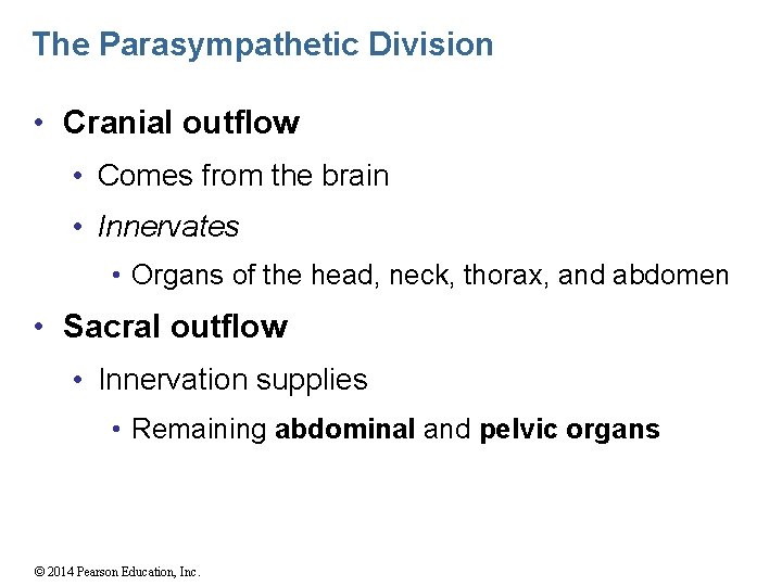 The Parasympathetic Division • Cranial outflow • Comes from the brain • Innervates •