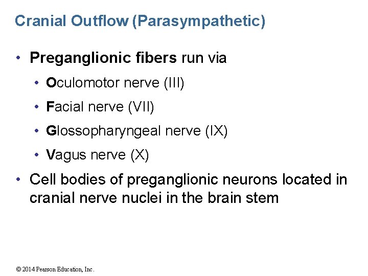 Cranial Outflow (Parasympathetic) • Preganglionic fibers run via • Oculomotor nerve (III) • Facial