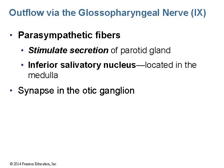 Outflow via the Glossopharyngeal Nerve (IX) • Parasympathetic fibers • Stimulate secretion of parotid