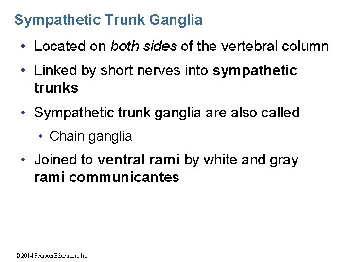 Sympathetic Trunk Ganglia • Located on both sides of the vertebral column • Linked