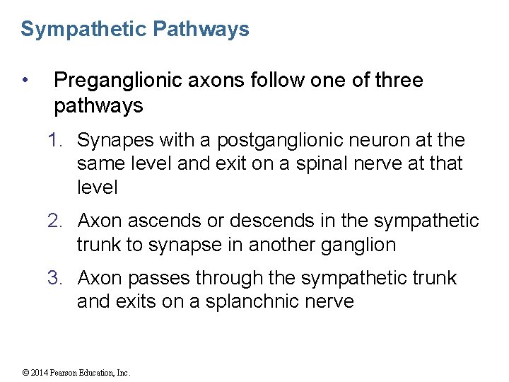 Sympathetic Pathways • Preganglionic axons follow one of three pathways 1. Synapes with a