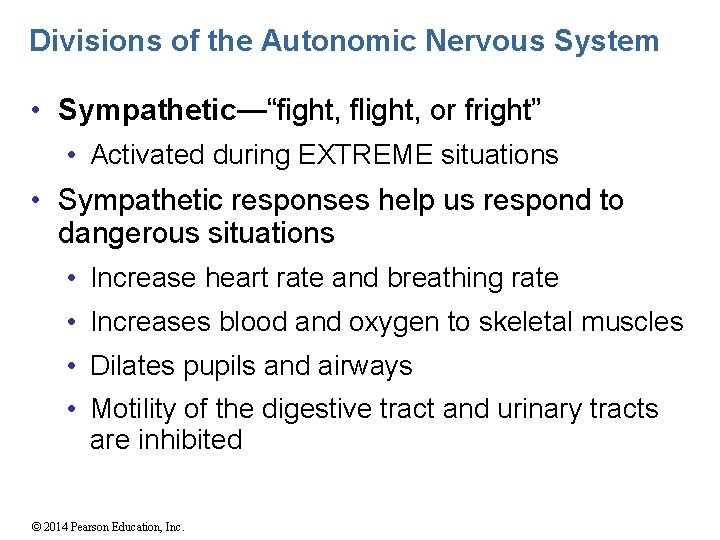 Divisions of the Autonomic Nervous System • Sympathetic—“fight, flight, or fright” • Activated during