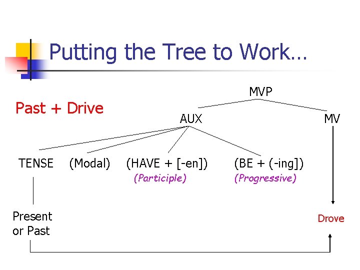 Putting the Tree to Work… Past + Drive TENSE (Modal) MVP AUX (HAVE +