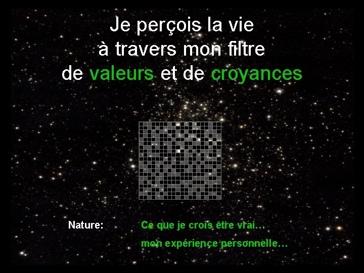 Je perçois la vie à travers mon filtre de valeurs et de croyances Nature: