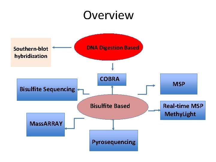 Overview Southern‐blot hybridization DNA Digestion Based COBRA Bisulfite Sequencing Bisulfite Based Mass. ARRAY Pyrosequencing