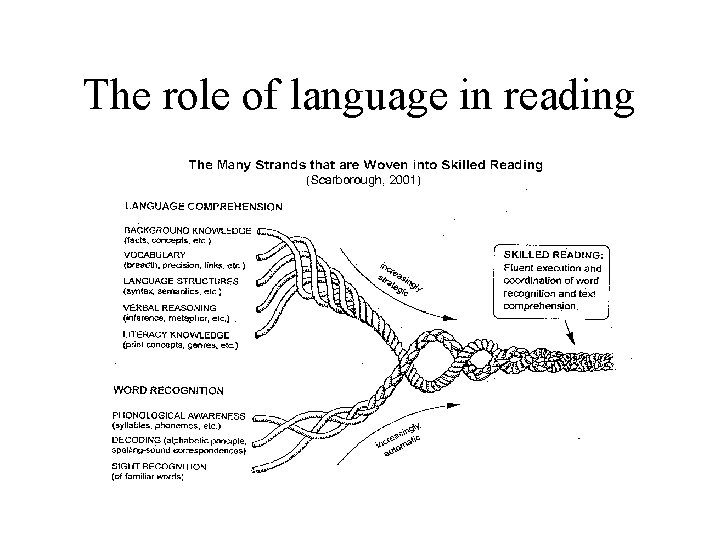 The role of language in reading 
