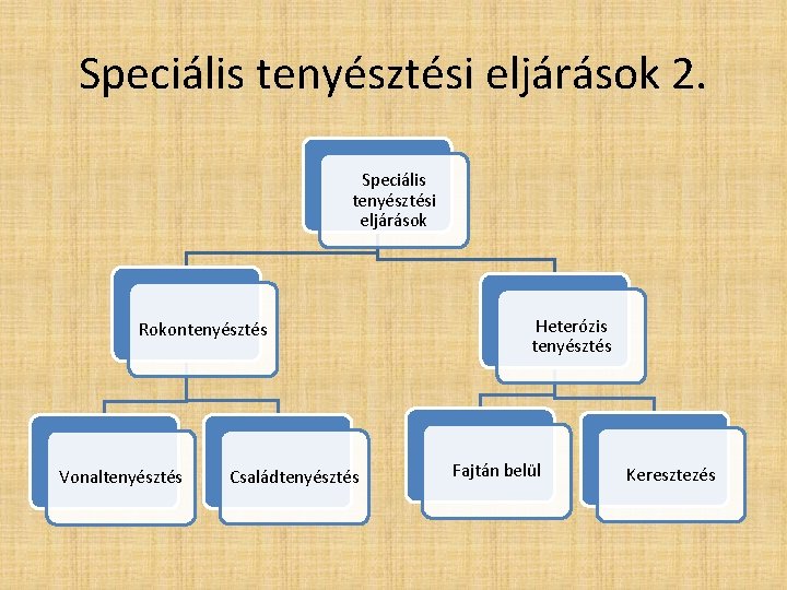 Speciális tenyésztési eljárások 2. Speciális tenyésztési eljárások Rokontenyésztés Vonaltenyésztés Családtenyésztés Heterózis tenyésztés Fajtán belül